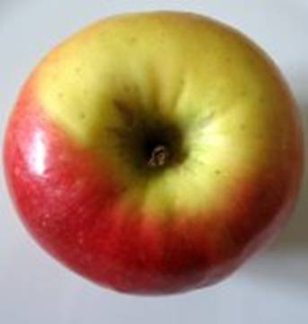 Apfel